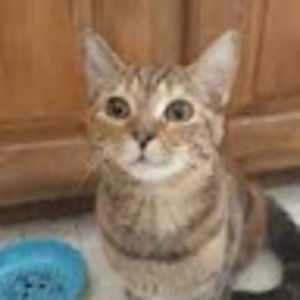 Meet your Posher, Jackie